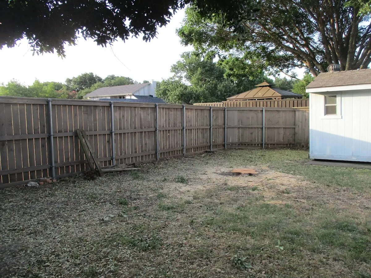 Cleared yard after professional tree removal in Arlington